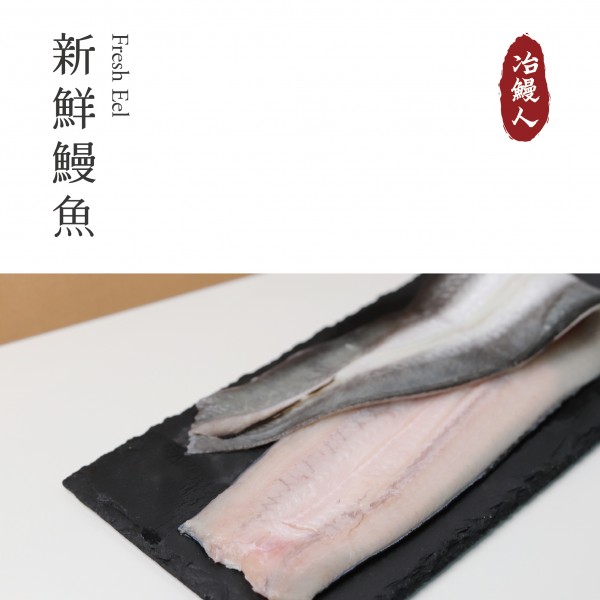 新鮮鰻魚